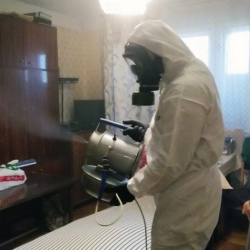 Дезинфекция от клопов в Колпашево