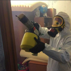 Уничтожение клопов в квартире. Колпашево